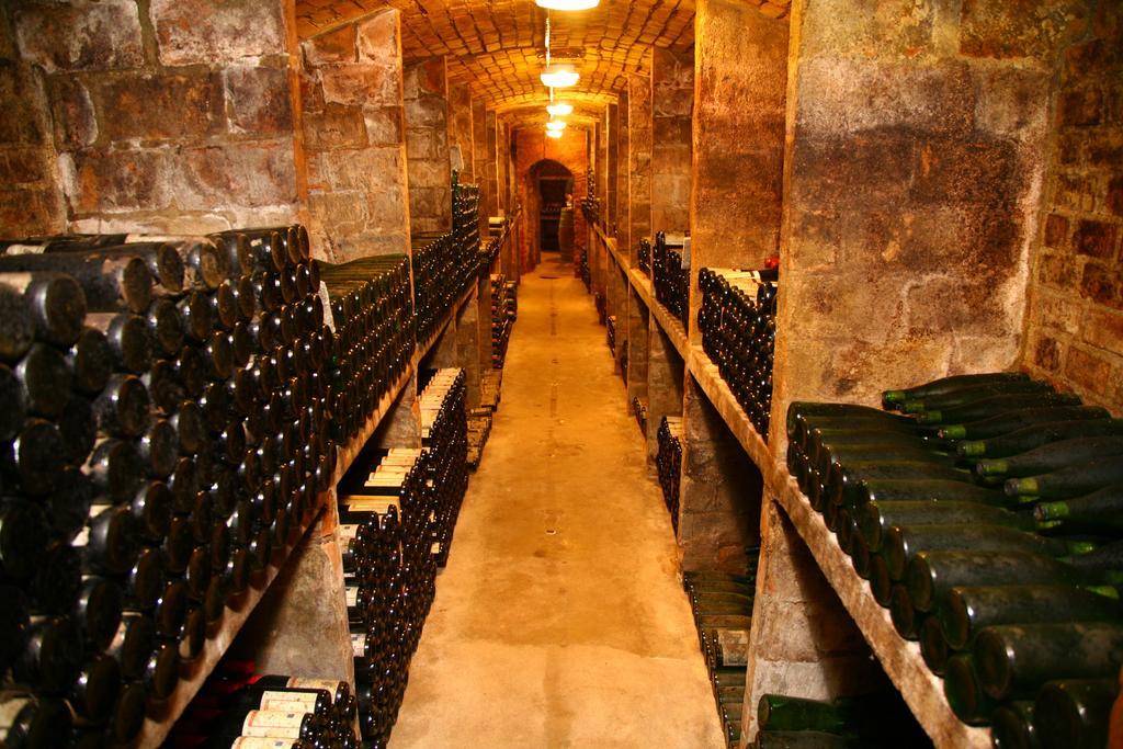 Ferienwohnung Weingut Kloster Pforta ナウムブルク 部屋 写真